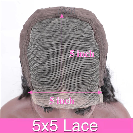 Swiss Lace Front Wigs